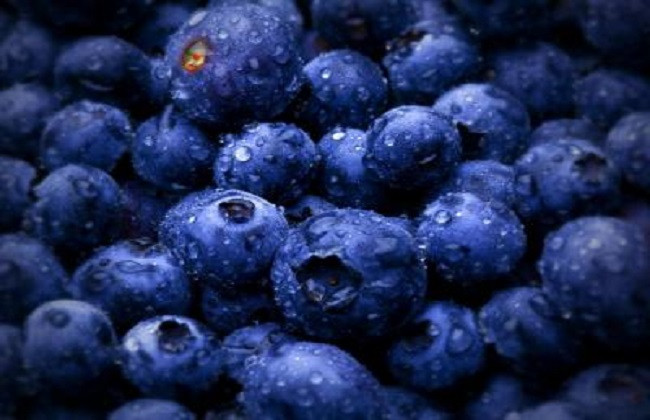吃蓝莓有什么好处