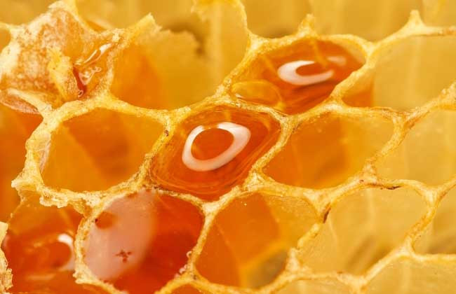 蜂蜜面膜的功效和做法