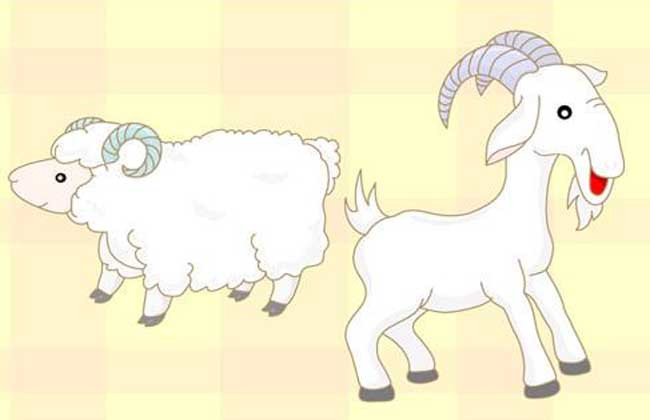 属羊的人几月出生最好？