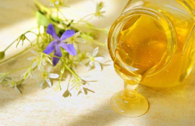 蜂蜜水的功效的作用及禁忌