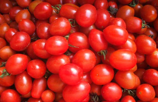 番茄面膜的做法