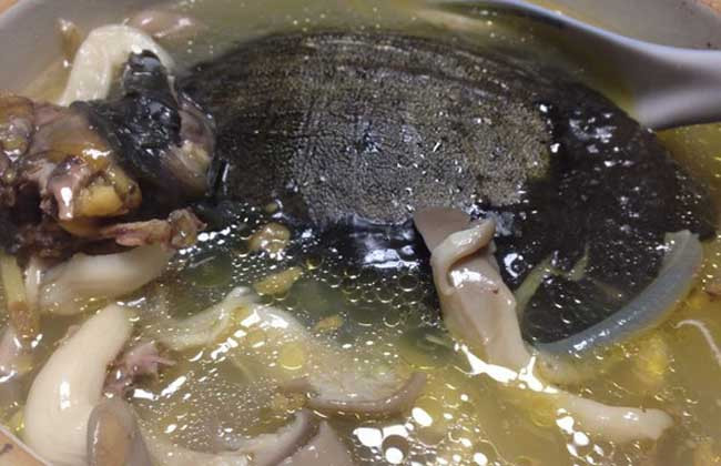 甲鱼汤的做法