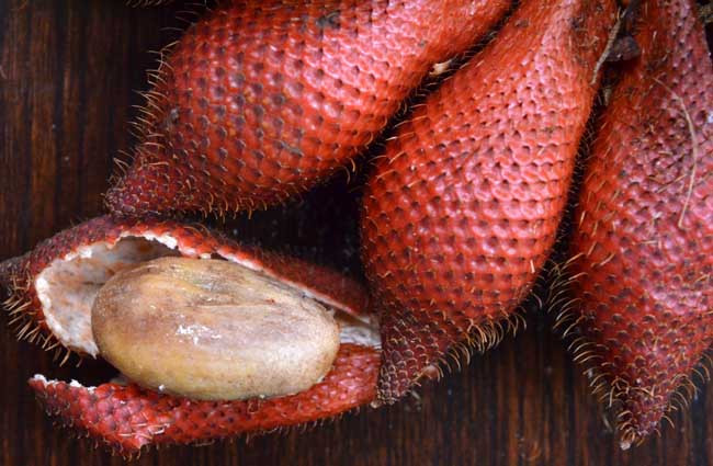 你知道蛇皮果怎么吃吗？