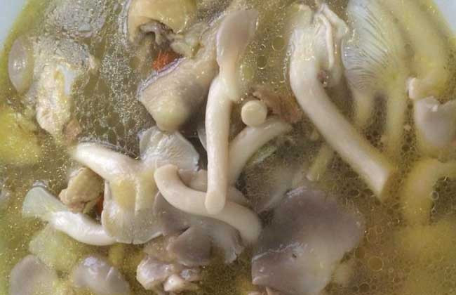 凤尾菇汤的做法大全