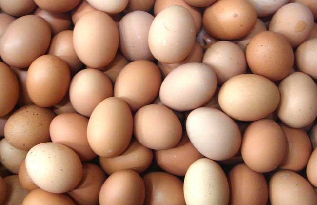 鹌鹑蛋和鸡蛋哪个营养高