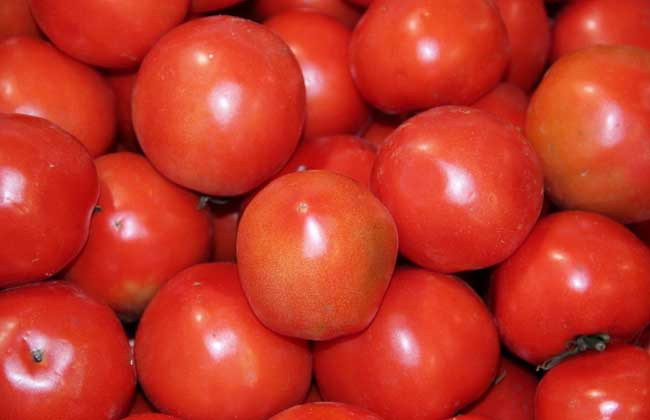番茄面膜的做法