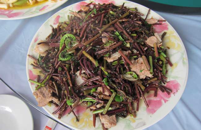 蕨菜炒肉的功效及做法