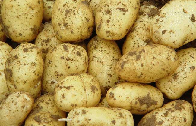 土豆真的能去痘印吗？