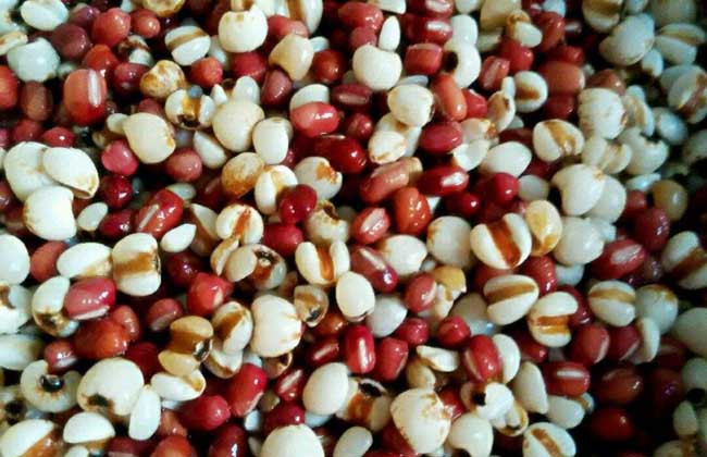 红豆和薏米有什么功效？