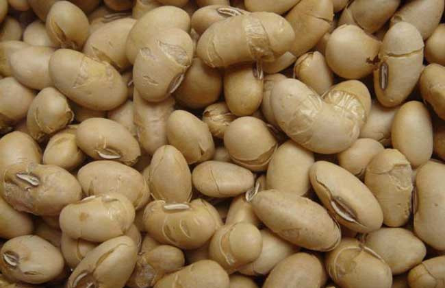 黄豆怎么吃最有营养？