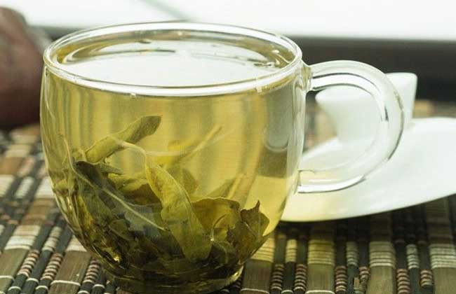 罗布麻茶的毒副作用