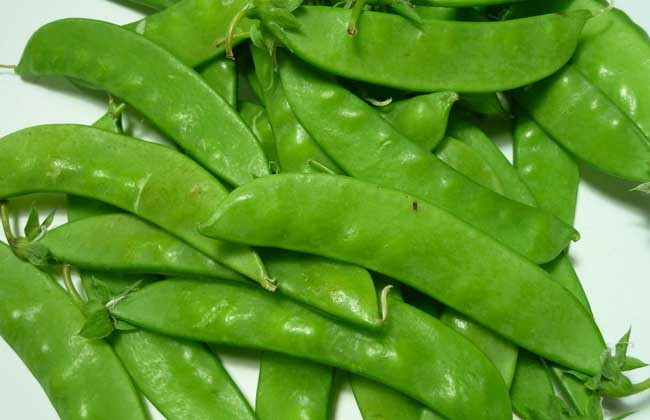 豌豆的功效与作用及食用方法