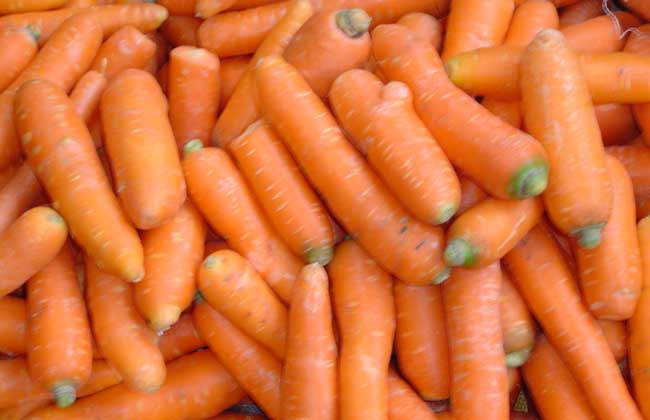 胡萝卜的减肥方法有哪些？