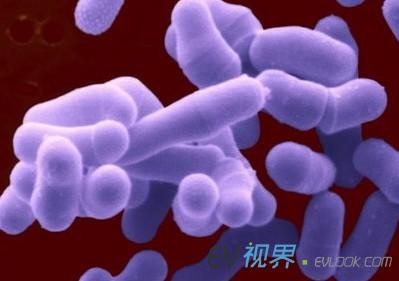 天津大学研制出高效混菌微生物燃料电池