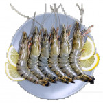海鲜水产品冻虾x进口清关流程及许可证要求